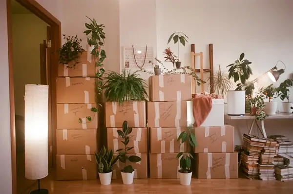 Moving day — packed boxes ready to go